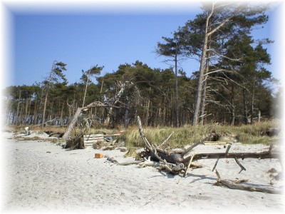 Weststrand Darß